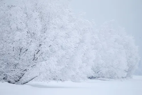 Зима Картинки большая куча снега