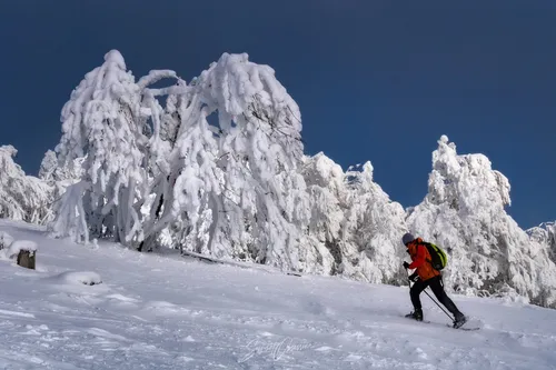 Зима Картинки человек катается на лыжах по снегу