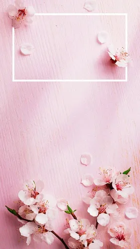 Фон Картинки розовый цветочный фон