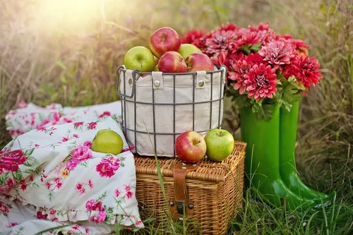 Яблочный Спас Картинки корзина с яблоками и цветами