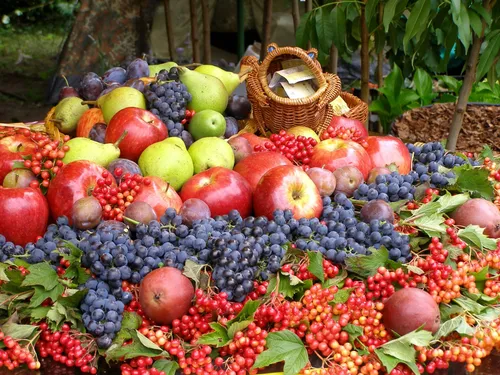 Яблочный Спас Картинки корзина яблок и винограда