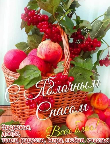 Яблочный Спас Картинки корзина красных и зеленых овощей