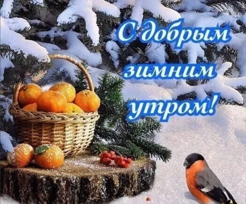 Зимние С Добрым Утром Картинки корзина с фруктами