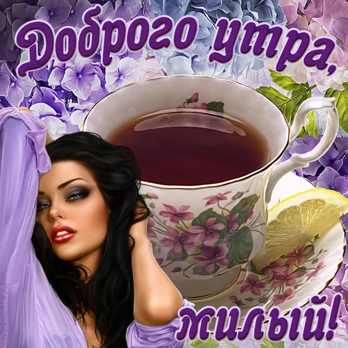 Луис Ройо, Доброе Утро Любимый Картинки женщина держит чашку кофе