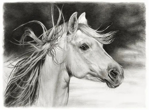 Карандашом Картинки белая лошадь с длинными волосами