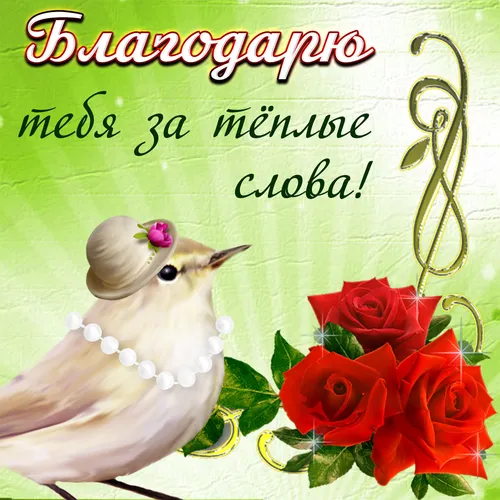 Благодарю Картинки белая птица с цветком на голове рядом с букетом красных роз