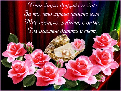 букет розовых цветов