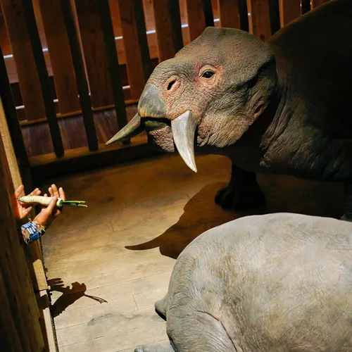 Динозавры Картинки слоненка, которого кормит взрослый слон