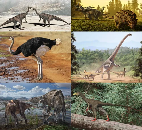 Динозавры Картинки коллаж из животных