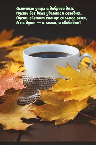 Доброе Осеннее Утро Картинки чашка кофе на куче листьев