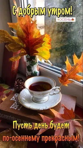 Доброе Осеннее Утро Картинки книга с чашкой кофе и растением