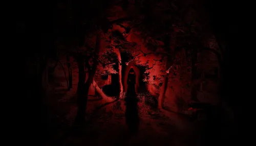 Жуткие Картинки темный лес ночью