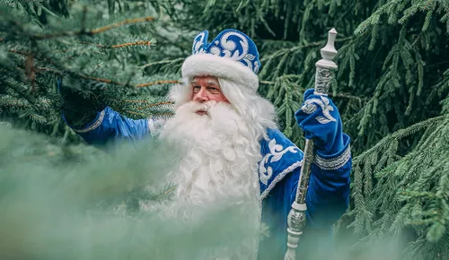 Деда Мороза Картинки человек в белой бороде и синей шляпе, держащий бутылку алкоголя