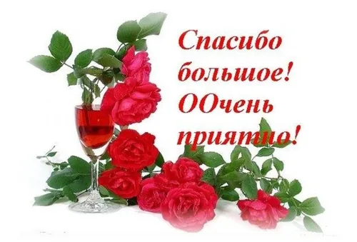 Спасибо За Поздравления Картинки бокал красного вина с букетом роз