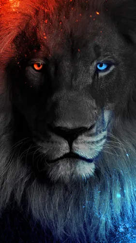 Лев Картинки крупный план льва