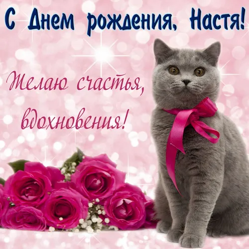 С Днем Рождения Настя Картинки кошка в галстуке-бабочке