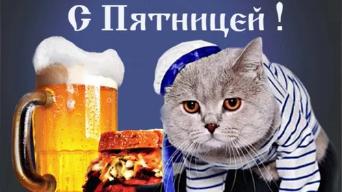 С Пятницей Картинки кот в шляпе с бокалом пива