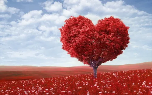 Сердце Картинки дерево в поле красных цветов