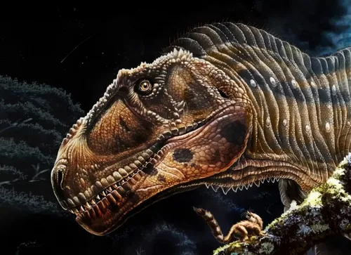 Динозавров Картинки крупный план ящерицы