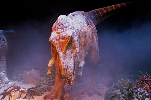 Динозавров Картинки динозавр в пещере