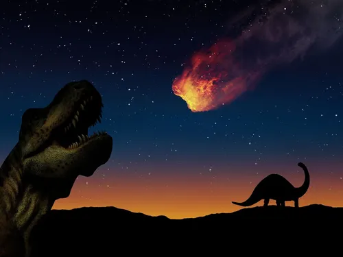 Динозавров Картинки пара верблюдов перед звездным небом