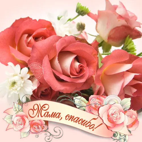 Ко Дню Матери Картинки букет розовых роз