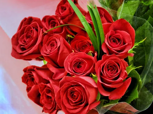 Красивые Цветы Картинки букет красных роз