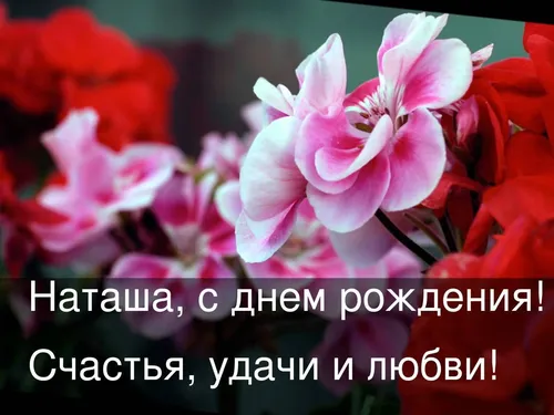 С Днем Рождения Наталья Картинки цветок крупным планом