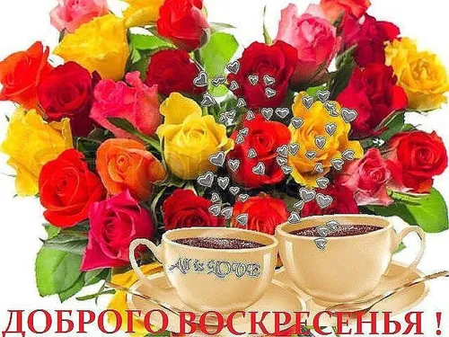 Доброе Утро Воскресенье Картинки букет роз