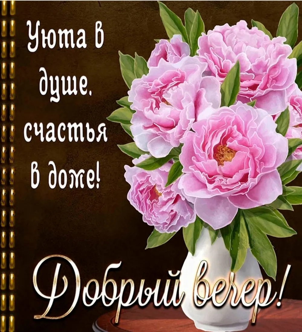День добрый вечер
