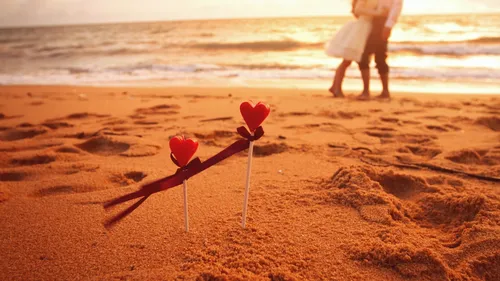 С Сердечками Картинки пара красных цветов на пляже
