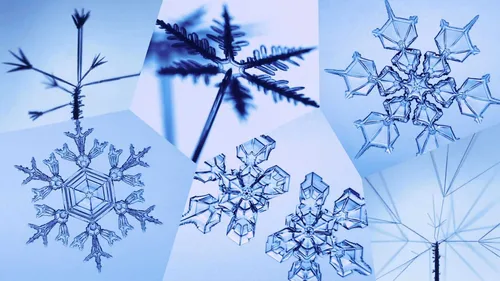 Снежинок Картинки группа синих и белых изображений