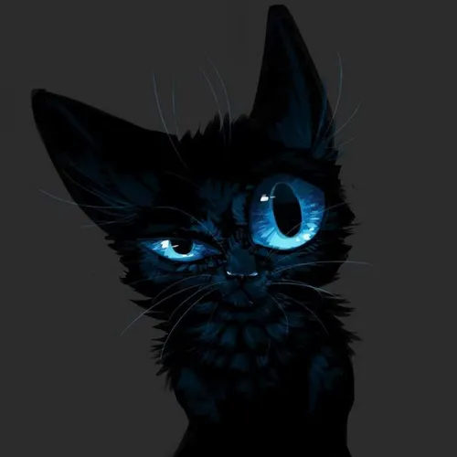 Кот Картинки кот с голубыми глазами