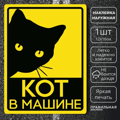 Кот Картинки черный кот на обложке