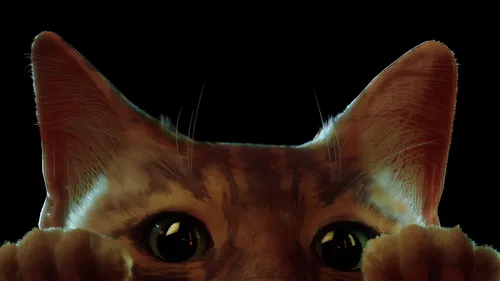 Кот Картинки кошка с наклоненной головой
