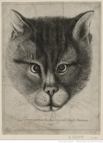 Кот Картинки черно-белый рисунок кошки