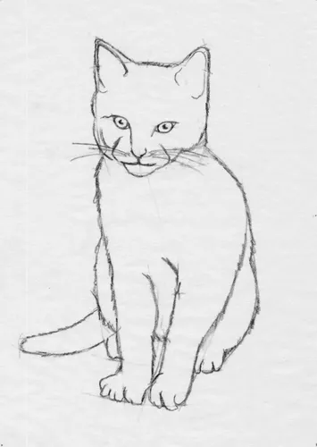 Кот Картинки рисунок человека