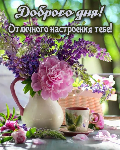 Красивые Хорошего Дня И Настроения Картинки ваза с фиолетовыми цветами
