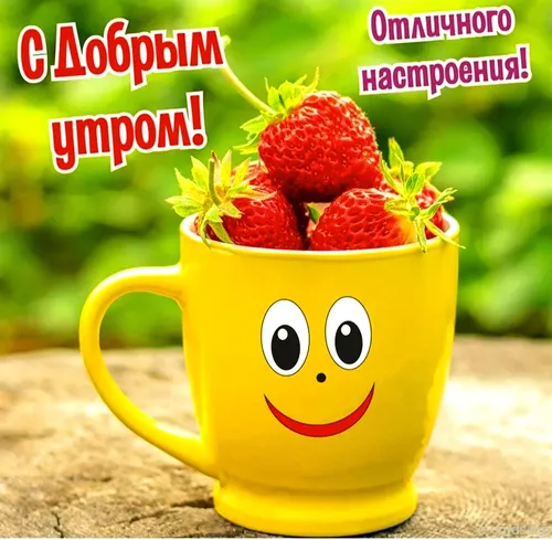 Красивые Хорошего Дня И Настроения Картинки чашка фруктов