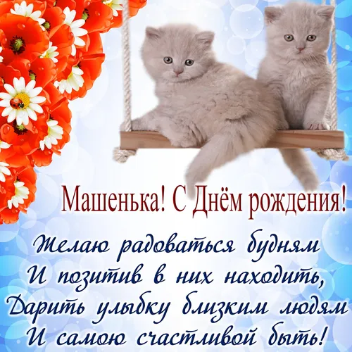 Маша С Днем Рождения Картинки пара кошек на столе