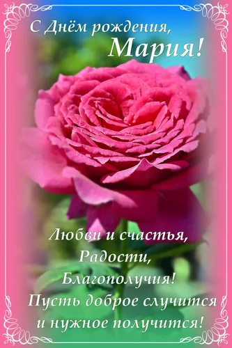 Маша С Днем Рождения Картинки розовая роза с зеленым фоном
