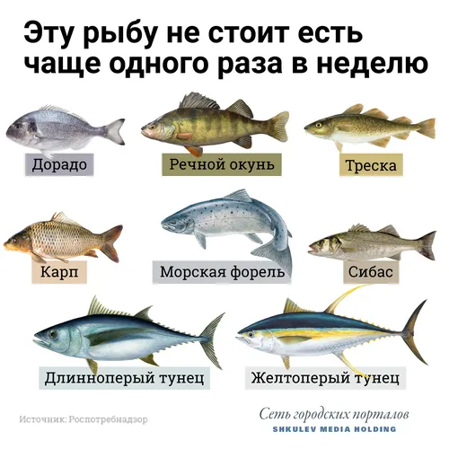Названия Рыб С Картинками Картинки изображение