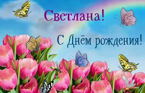 С Днем Рождения Светлана Картинки группа бабочек на цветке
