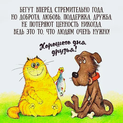 Хорошего Настроения Хорошего Дня Прикольные Картинки кошка и собака