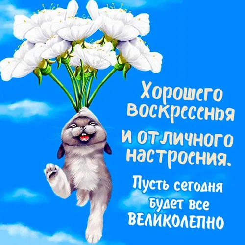 Хорошего Настроения Хорошего Дня Прикольные Картинки кролик с цветком