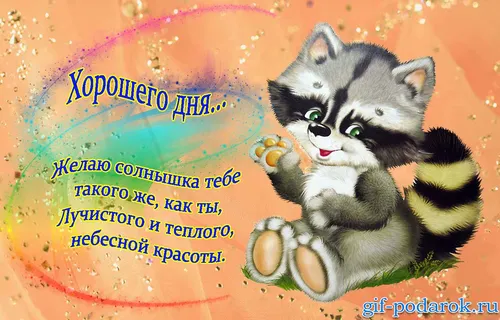 Хорошего Настроения Хорошего Дня Прикольные Картинки кошка с лапой на лице