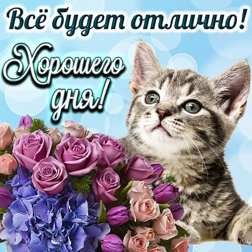 Хорошего Настроения Хорошего Дня Прикольные Картинки кот с букетом цветов