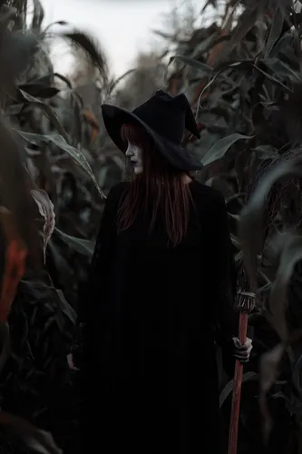 Ведьма Картинки человек в шляпе и с мечом