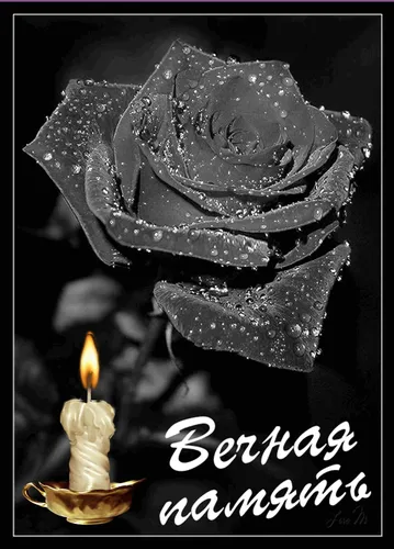 Вечная Память Картинки черно-белое фото розы и свечи