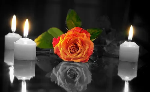 Вечная Память Картинки роза перед свечами